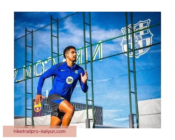 阿劳霍技术全面性